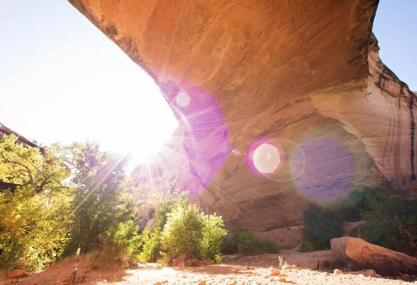 غرفة قياسية, Cedar Canyon Condos