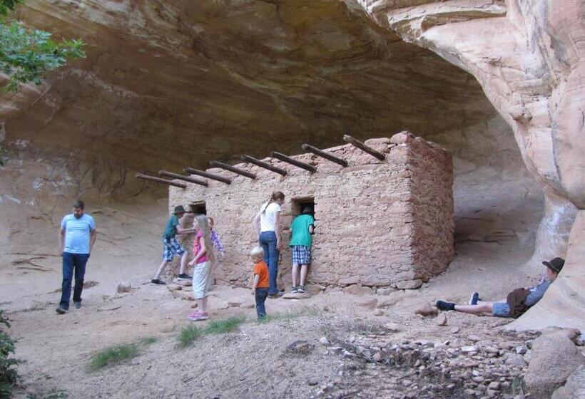 غرفة قياسية, Cedar Canyon Condos