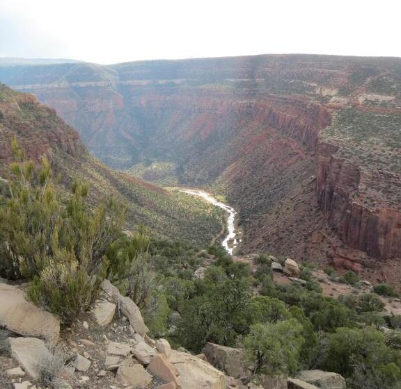 غرفة قياسية, Cedar Canyon Condos