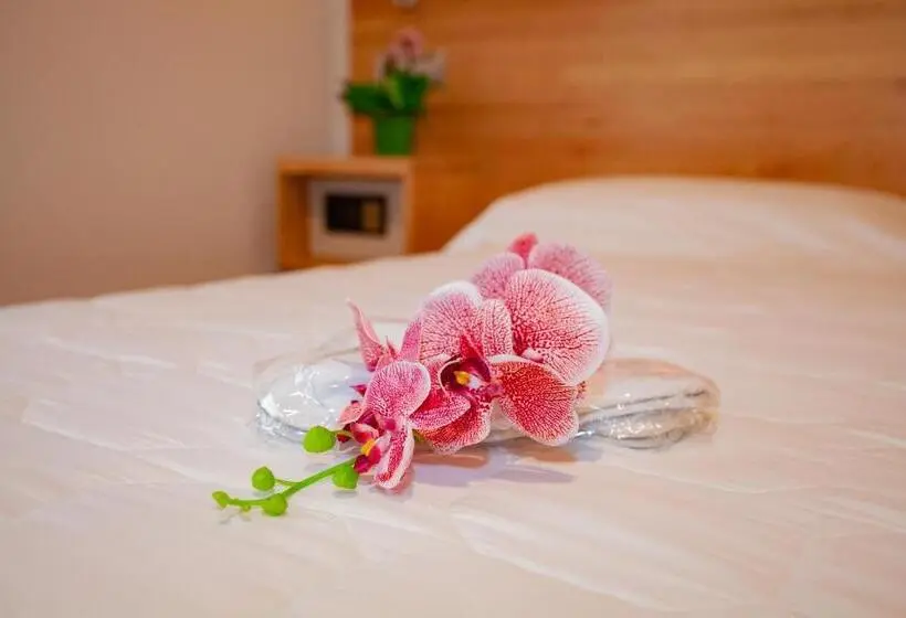 Superior-huone, Giardino