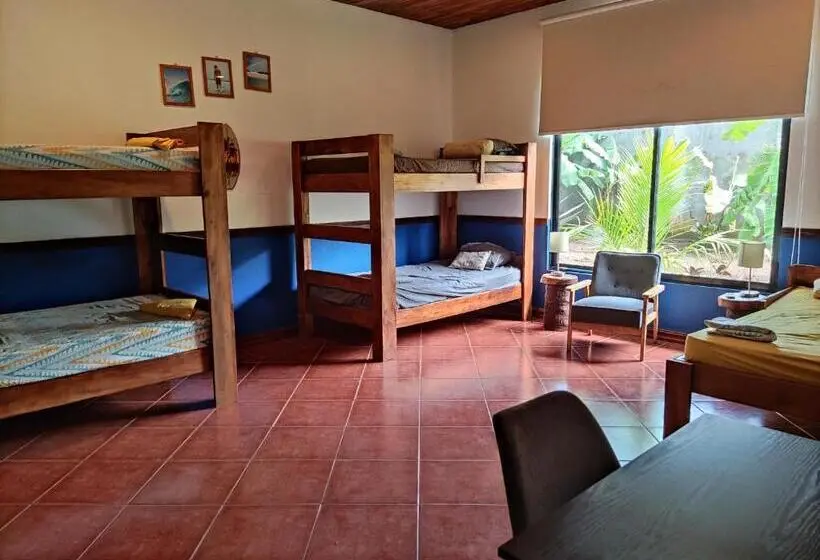 ファミリールーム, Casa Alice Marbella Lodge