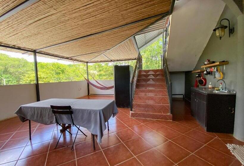 Апартаменты 1 Спальня с Террасой, Casa Alice Marbella Lodge