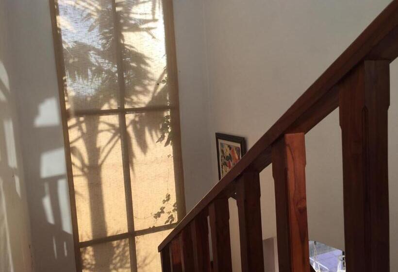 شقة غرفة واحدة مزودة بتراس, Casa Alice Marbella Lodge