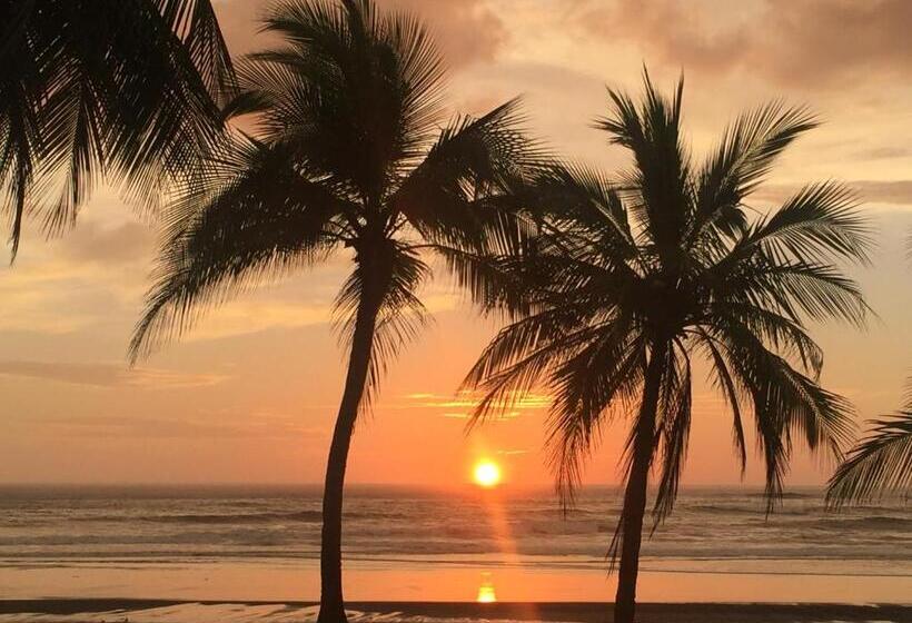 شقة غرفة واحدة مزودة بتراس, Casa Alice Marbella Lodge