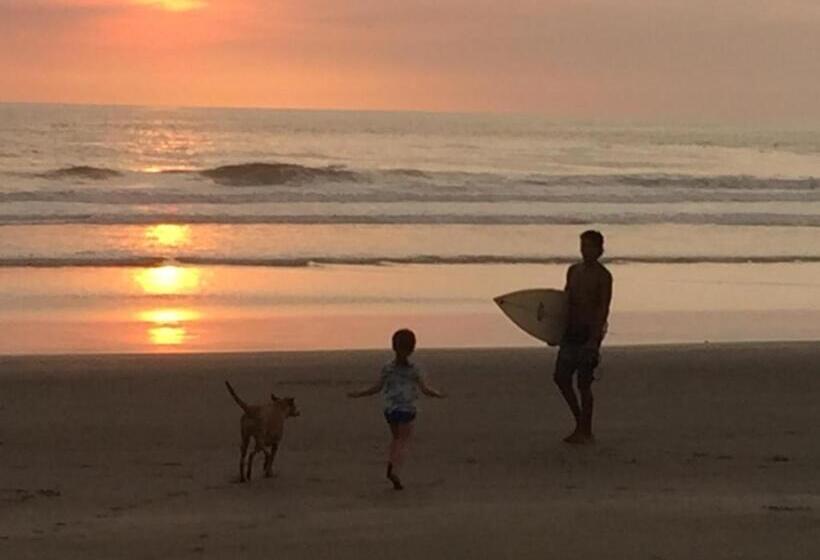 شقة غرفة واحدة مزودة بتراس, Casa Alice Marbella Lodge