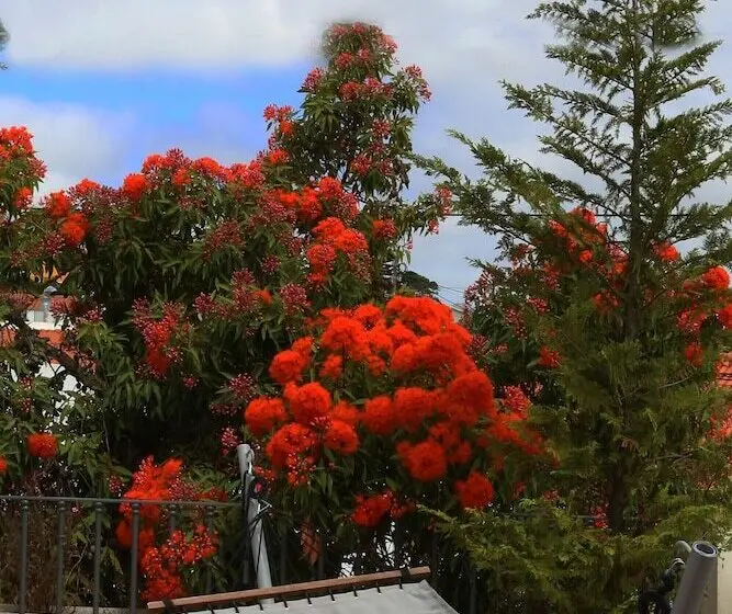 اتاق اکونومی, Cosy Sintra