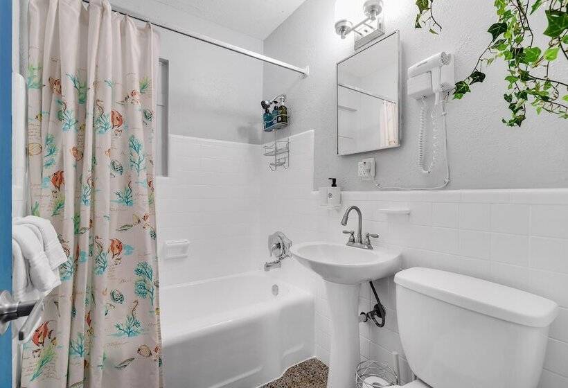 带1个卧室的豪华别墅, The Blue House Fort Lauderdale