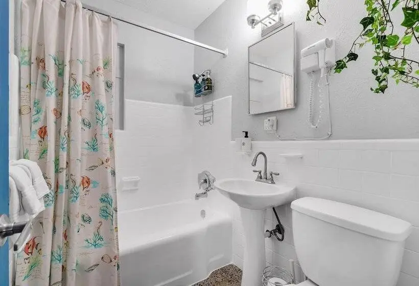 ویلای لوکس 1 خوابه, The Blue House Fort Lauderdale