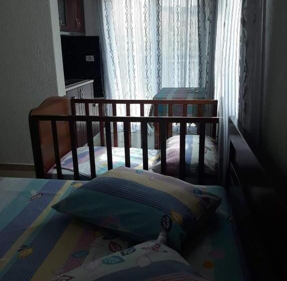 Classic room with balcony, Vila Ester