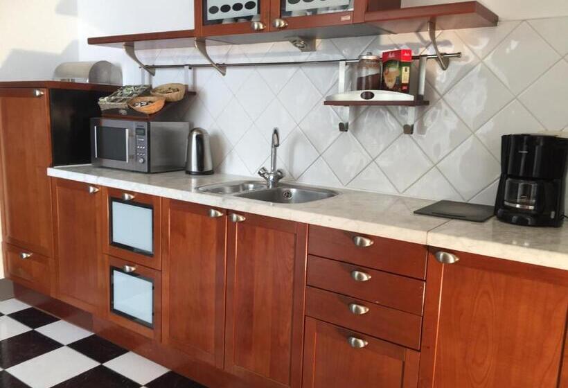 带3个卧室的公寓, The Amsterdam Hotel Apartment In The Center