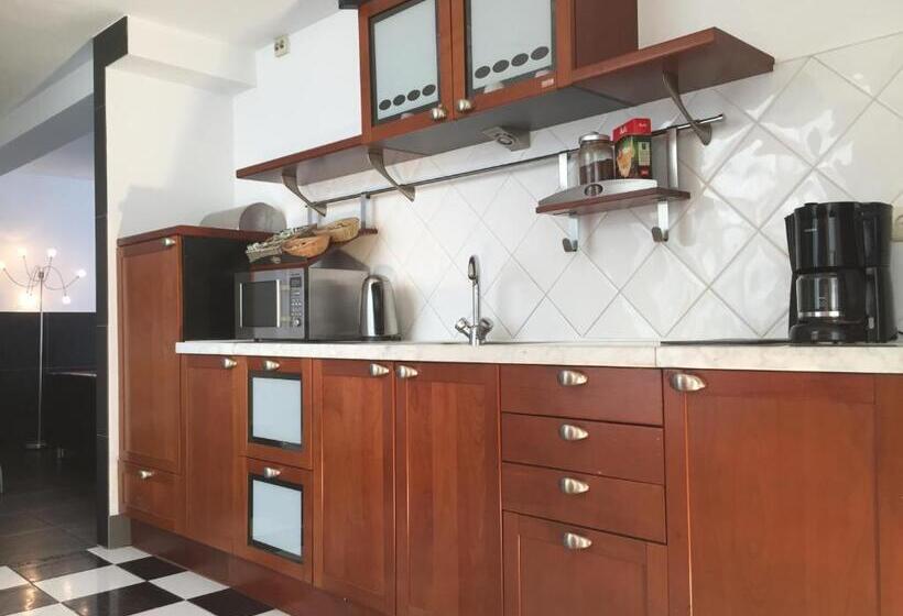 带3个卧室的公寓, The Amsterdam Hotel Apartment In The Center