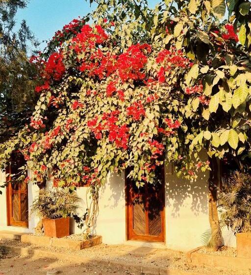 חדר סטנדרט, Posada Gallinas