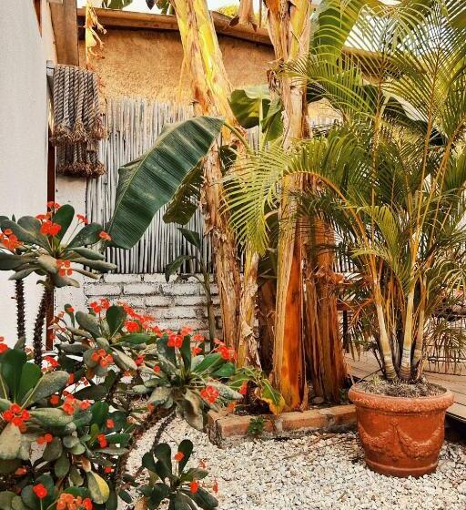 סטודיו דלוקס, Posada Gallinas