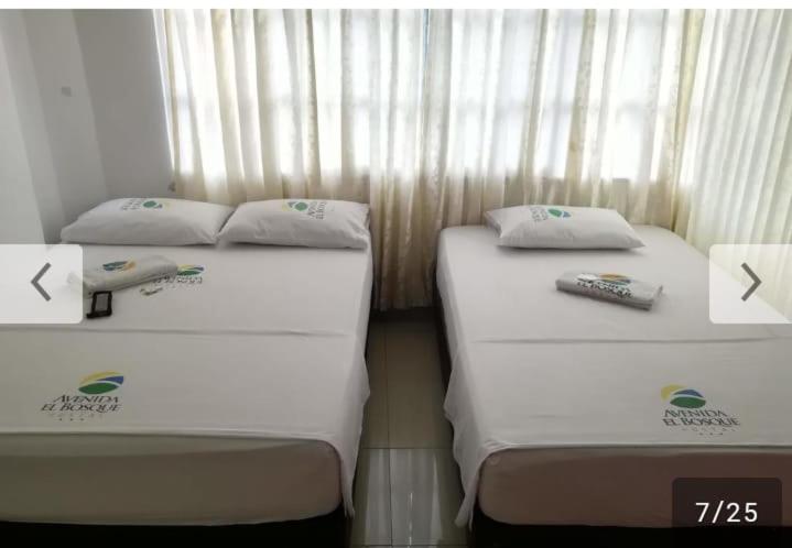 패밀리 룸, Avenida El Bosque