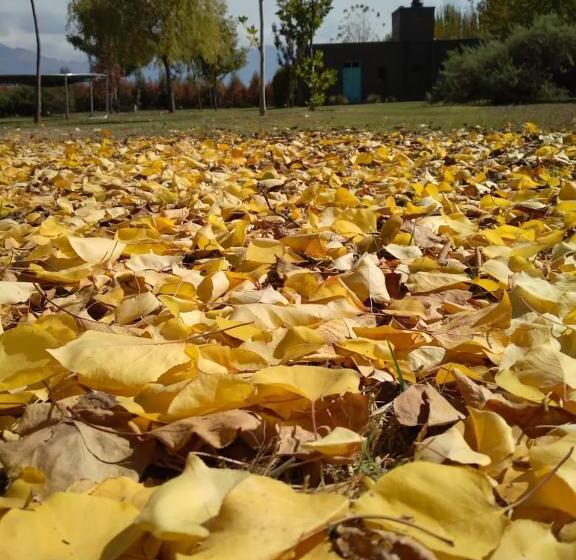 Standardzimmer Bergblick, Finca La Clementina