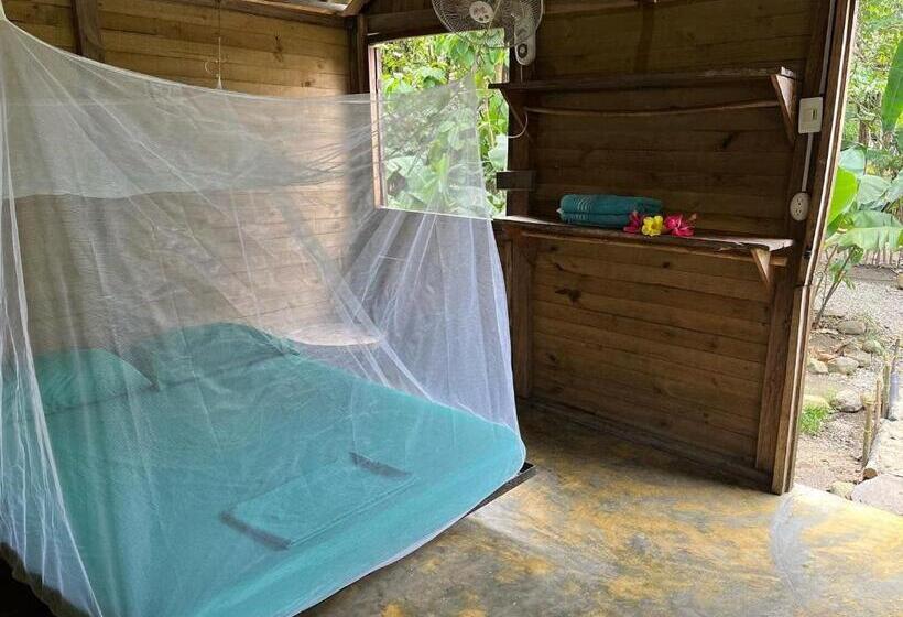 اتاق استاندارد, La Aldea Hostel, Camping Y Hamacas