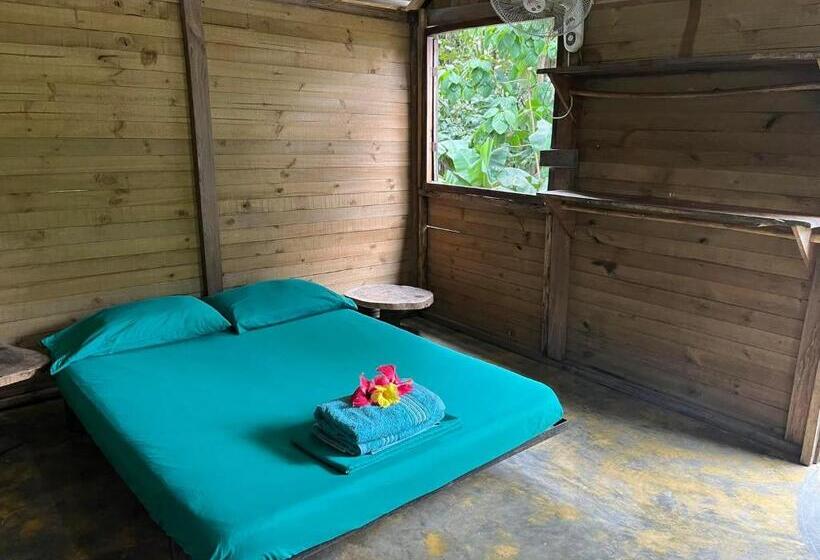 اتاق استاندارد, La Aldea Hostel, Camping Y Hamacas