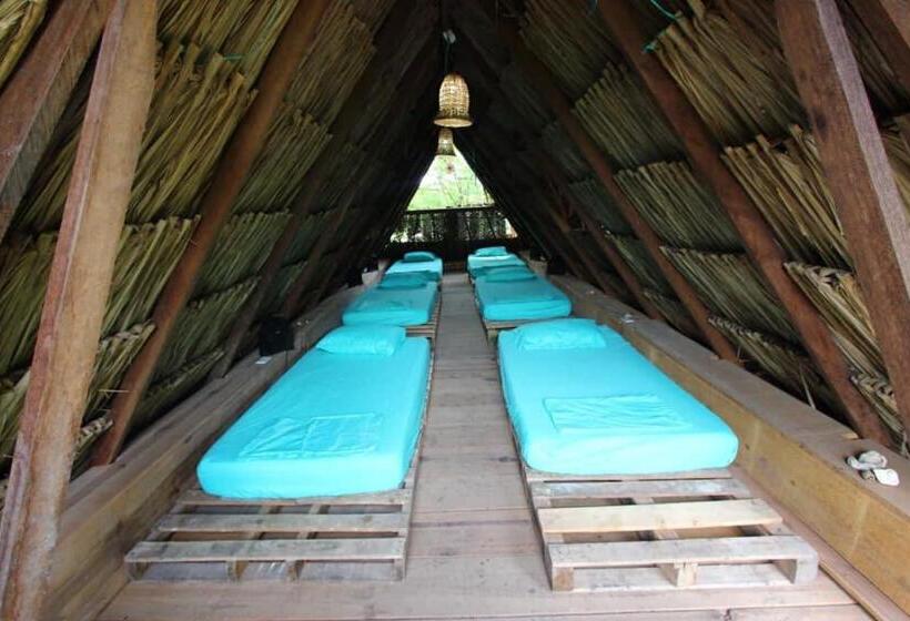 تختخواب در اتاق مشترک, La Aldea Hostel, Camping Y Hamacas