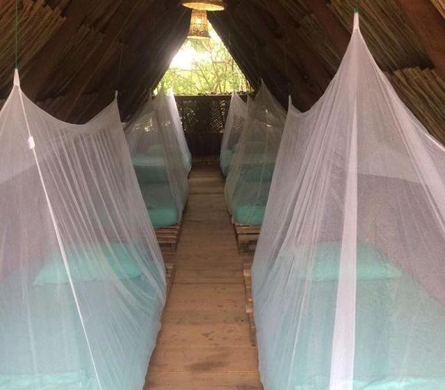 تختخواب در اتاق مشترک, La Aldea Hostel, Camping Y Hamacas