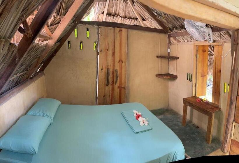 اتاق استاندارد با سرویس بهداشتی مشترک, La Aldea Hostel, Camping Y Hamacas