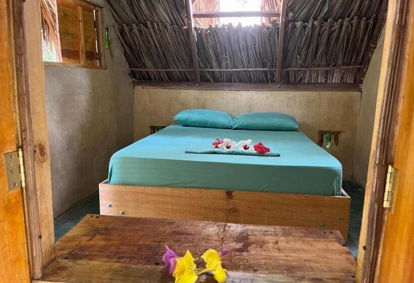 اتاق استاندارد با سرویس بهداشتی مشترک, La Aldea Hostel, Camping Y Hamacas