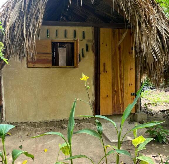 اتاق استاندارد با سرویس بهداشتی مشترک, La Aldea Hostel, Camping Y Hamacas