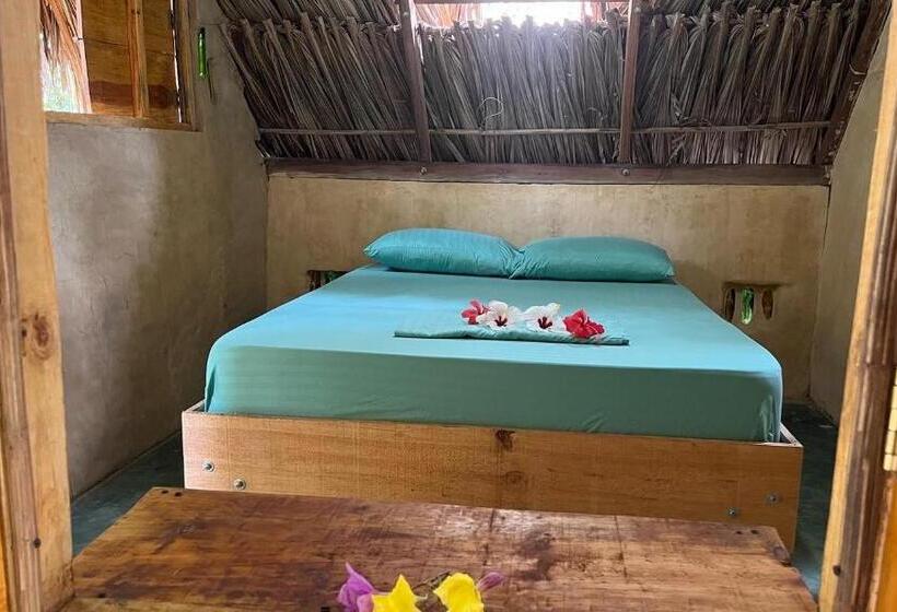 اتاق استاندارد با سرویس بهداشتی مشترک, La Aldea Hostel, Camping Y Hamacas