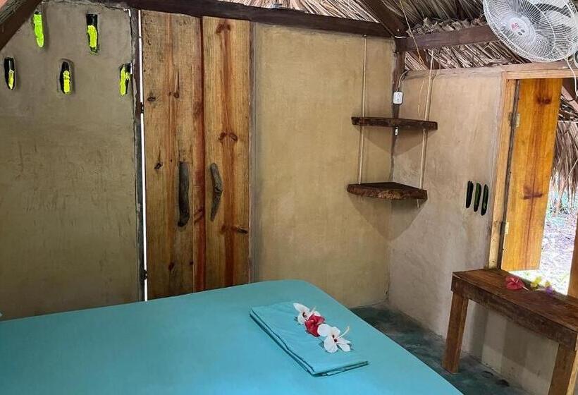 اتاق استاندارد با سرویس بهداشتی مشترک, La Aldea Hostel, Camping Y Hamacas