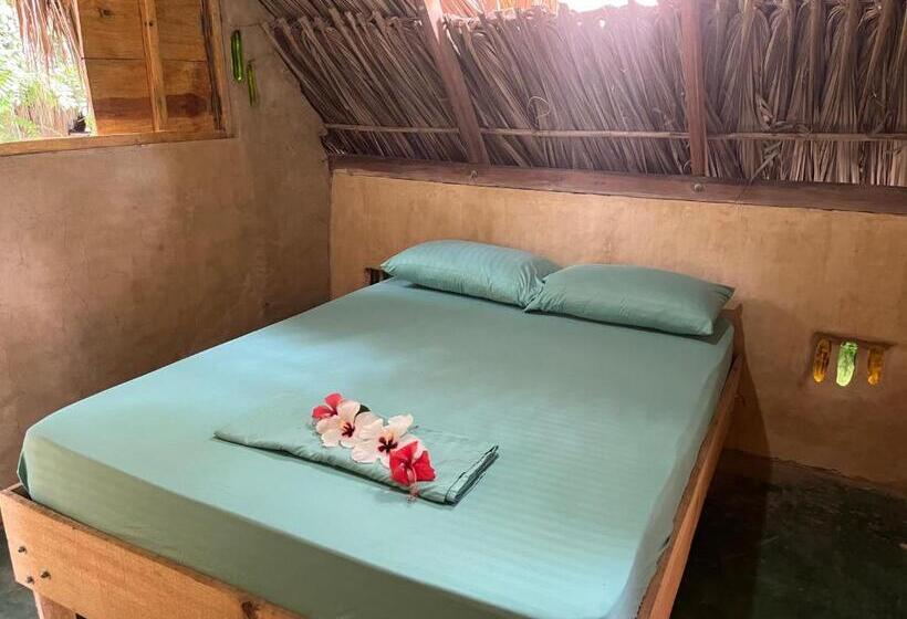 اتاق استاندارد با سرویس بهداشتی مشترک, La Aldea Hostel, Camping Y Hamacas