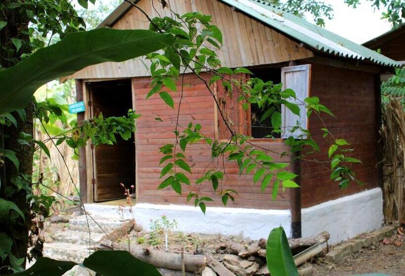 اتاق استاندارد, La Aldea Hostel, Camping Y Hamacas