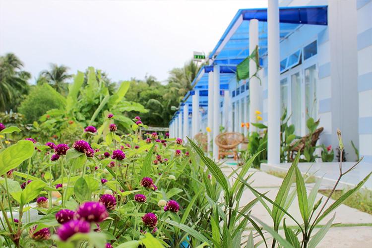 اتاق استاندارد با چشم‌انداز باغ, Nostress Guest House