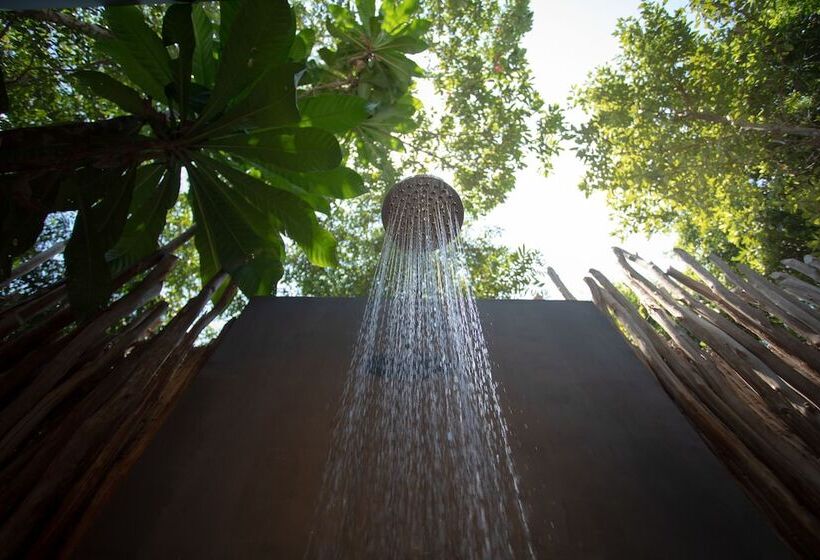 غرفة قياسية, Tamu Koh Rong