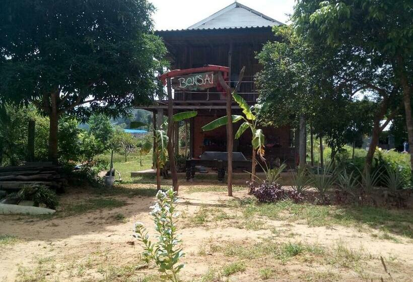 ガーデンビュースタンダードルーム, Bonsai