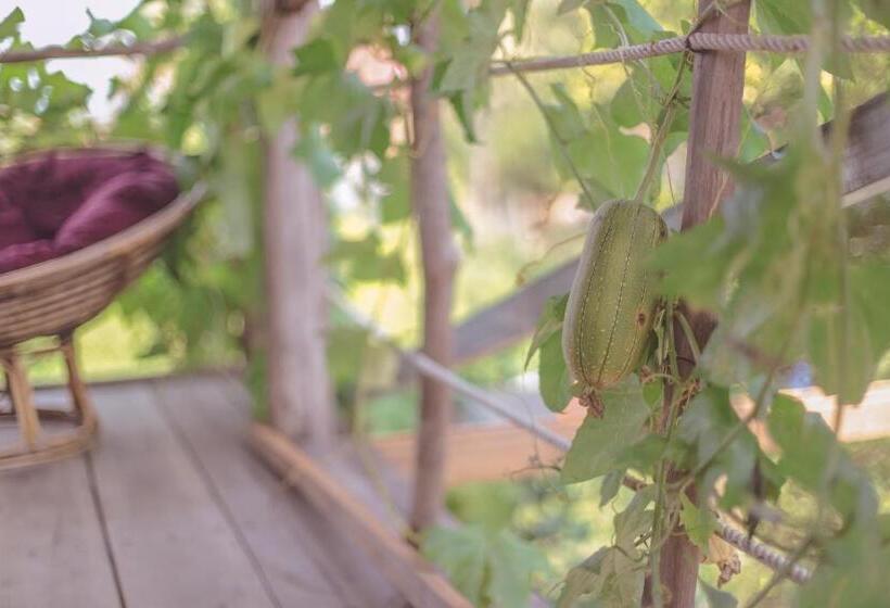 キングサイズベッドのスタンダードルーム, Bonsai
