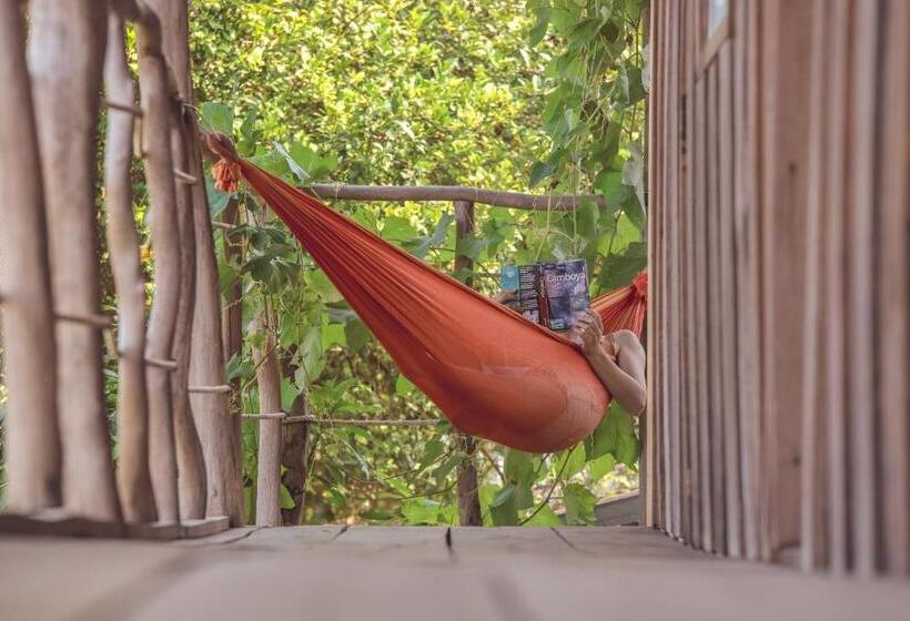 キングサイズベッドのスタンダードルーム, Bonsai