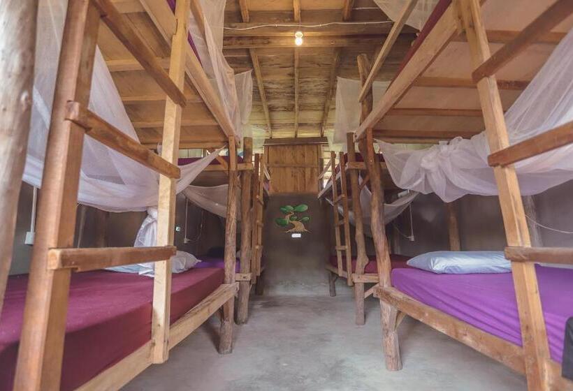 ルームシェアのワンベッド, Bonsai