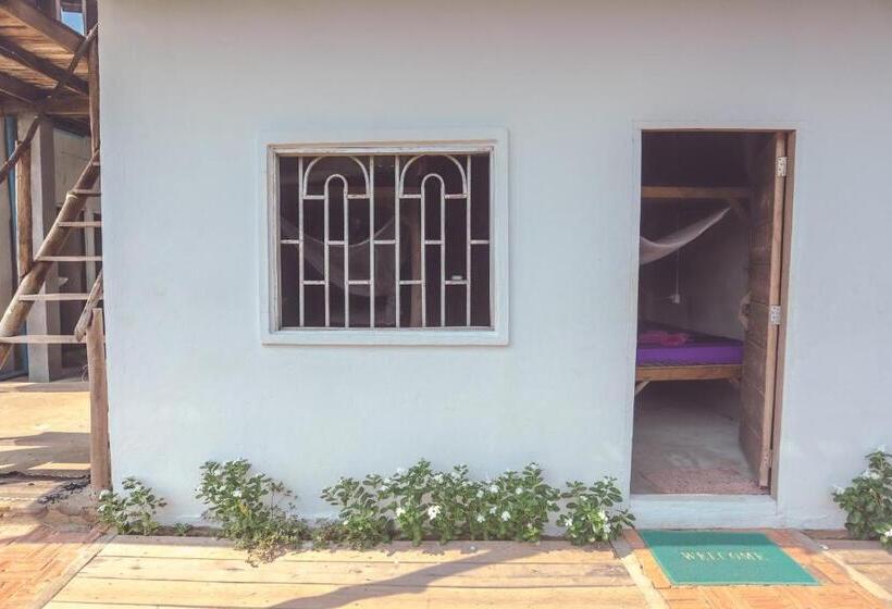 ルームシェアのワンベッド, Bonsai