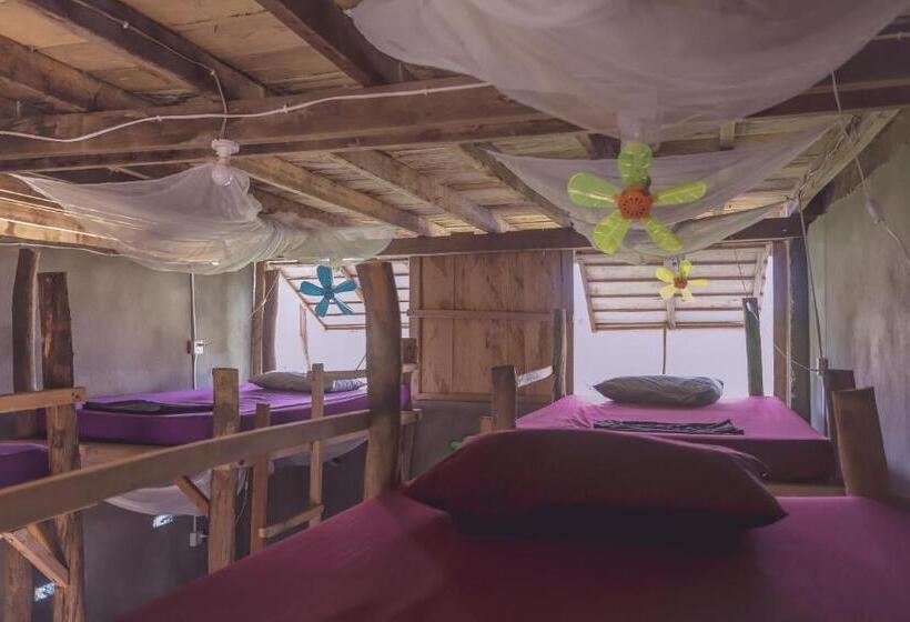 ルームシェアのワンベッド, Bonsai