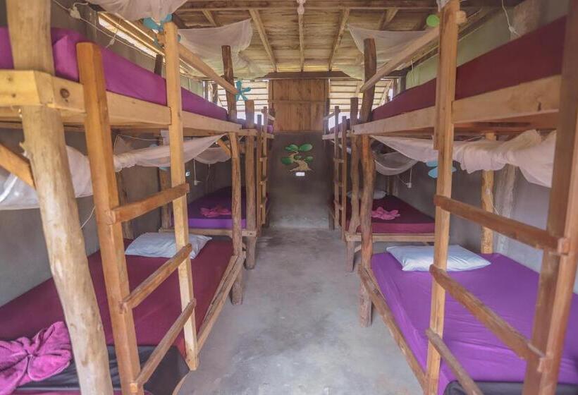 ルームシェアのワンベッド, Bonsai