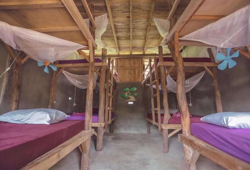 ルームシェアのワンベッド, Bonsai