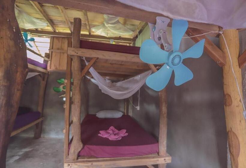 ルームシェアのワンベッド, Bonsai