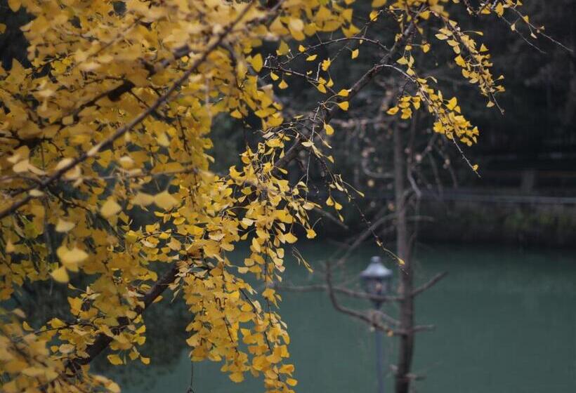 חדר סטנדרט, Moonlight