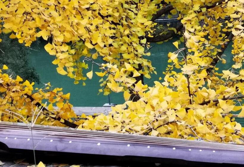 חדר דלוקס, Moonlight