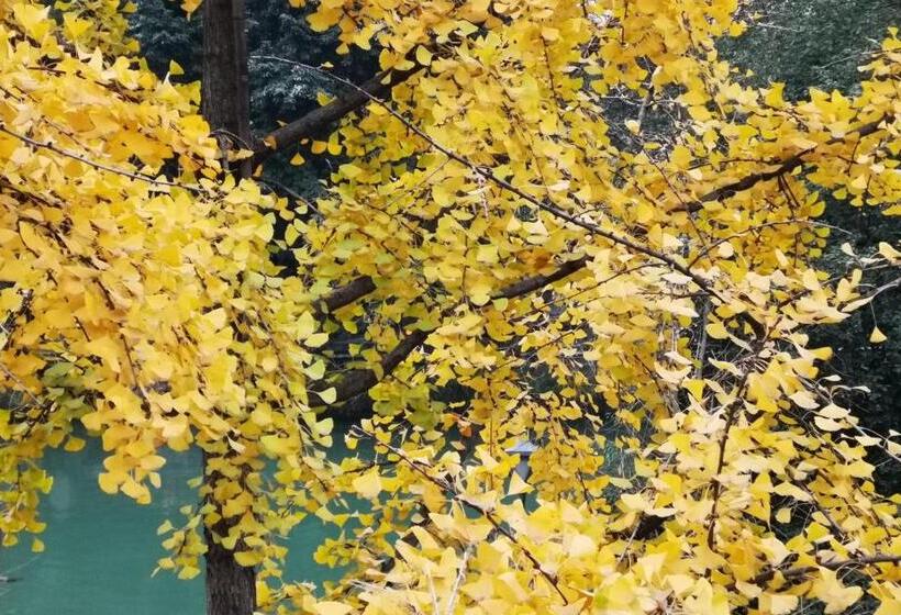 חדר סופריור, Moonlight