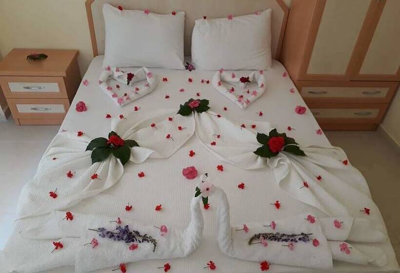 اتاق اکونومی, Nilsu