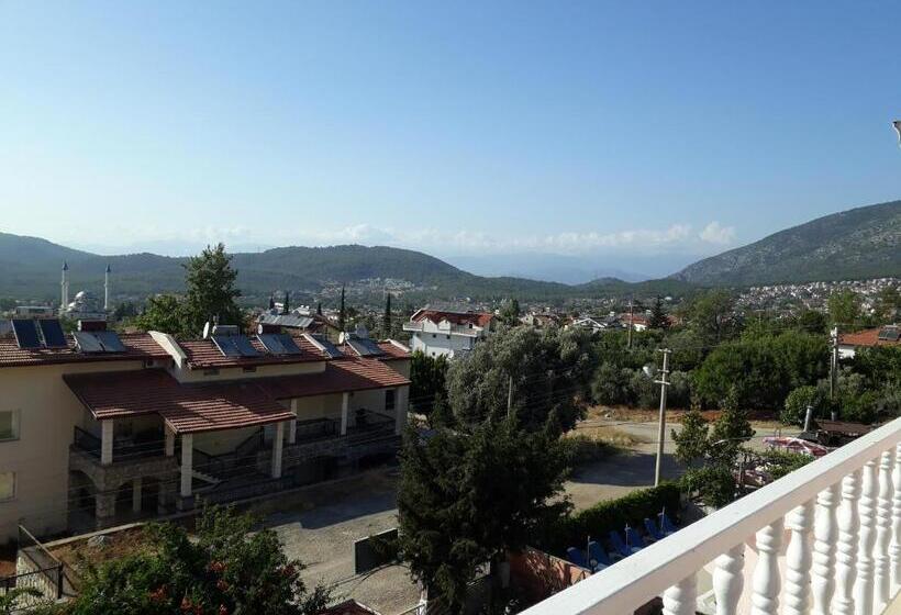 اتاق لوکس خانوادگی, Nilsu