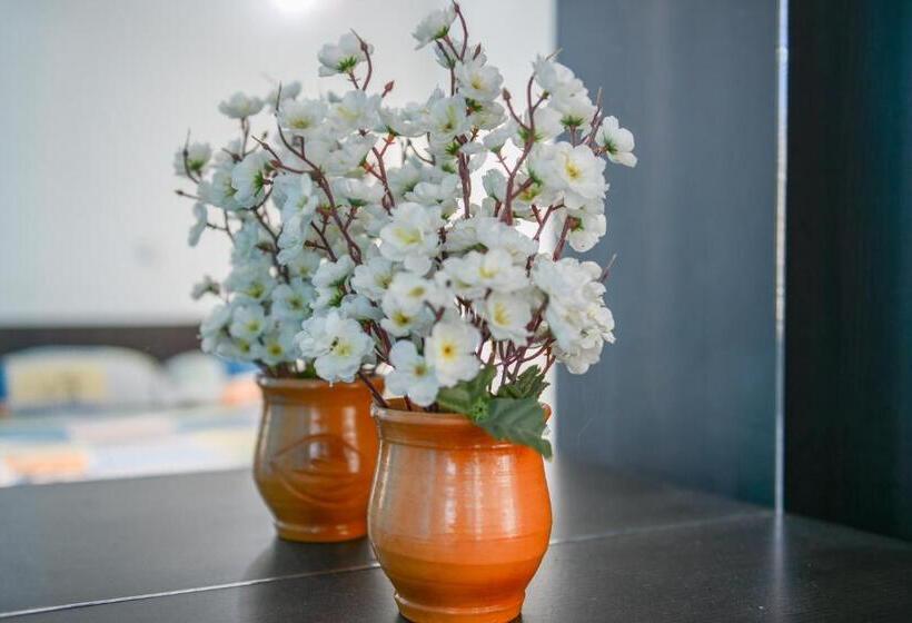 اتاق استاندارد با بالکن, Rexha Apartments