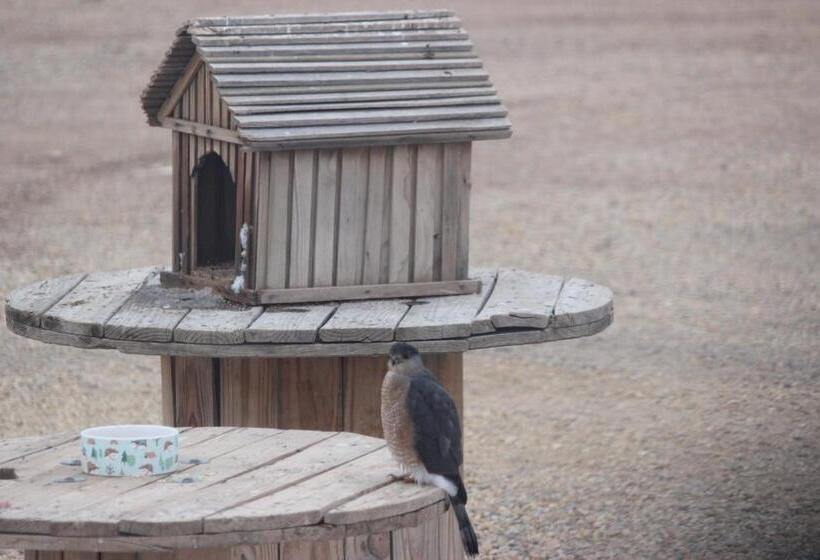 غرفة ديلوكس, Karbani Inn