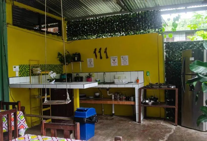 اتاق استاندارد, The Jungle Container