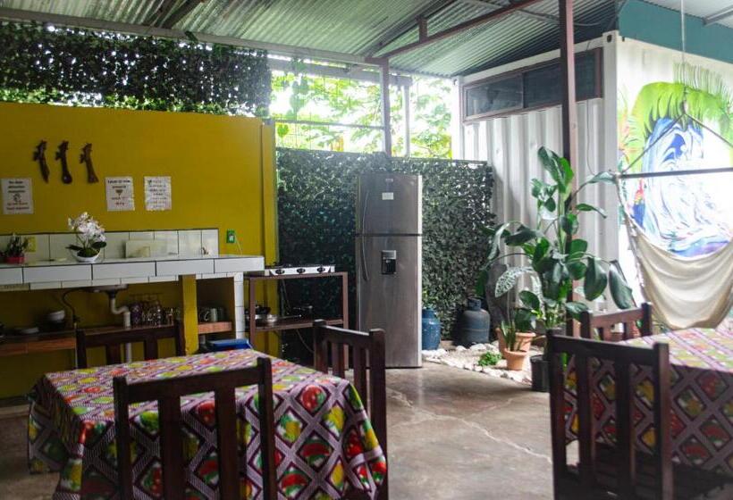 חדר קלאסי לארבעה, The Jungle Container